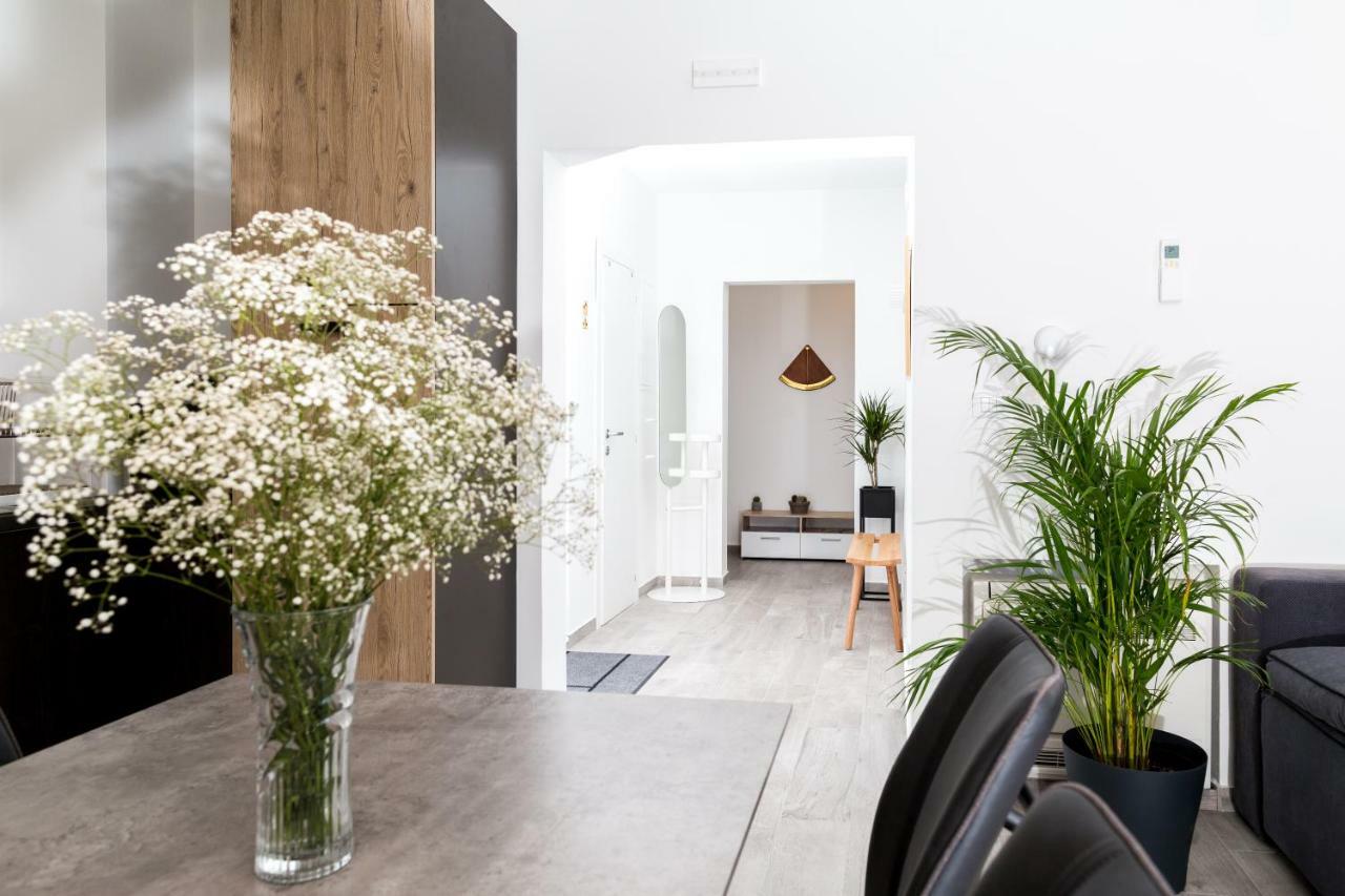 Apartment Grace دوبروفينك المظهر الخارجي الصورة